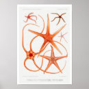 Recherche de illustration vintage posters Mer