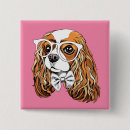 Suche nach spaniels buttons Welpe