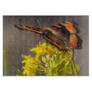 Recherche de beaux papillons planches à découper Nature