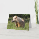 Suche nach shetland pony karten Rasse