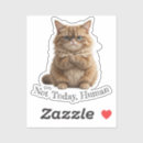 Suche nach grumpy cat aufkleber Katzenaufkleber