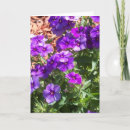 Suche nach phlox karten Quelle