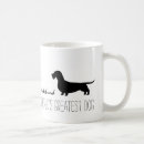 Recherche de poil tasses Dachshund