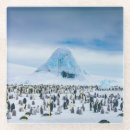 Suche nach vogel untersetzer Natur