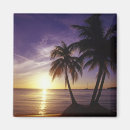 Suche nach negril magnete Strand