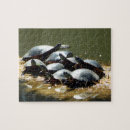 Suche nach schildkröten puzzle Weihnachten