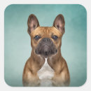 Suche nach bulldog aufkleber Kaninchen