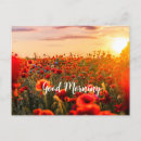 Suche nach roter sonnenaufgang postkarten Morgens
