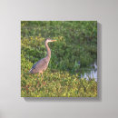 Recherche de oiseaux de marais art Héron bleu
