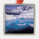 Suche nach expedition ornamente Antarktisch