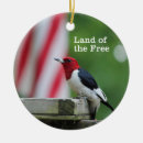 Recherche de piverts Birding