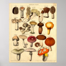 Recherche de champignon vintage art Tabourets