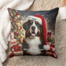 Suche nach berner kissen Welpe