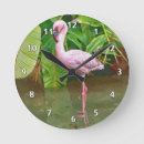 Suche nach rosa flamingo wanduhren Flamingos