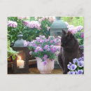 Recherche de bougies bleues cartes postales Toute personne
