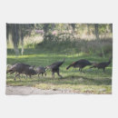 Suche nach truthahn geschirr tücher Vögel