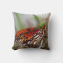 Recherche de papillon orange coussins De près