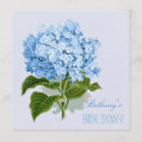 Recherche de hortensia bleu cartes postales Bride