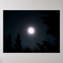 Suche nach licht in der dunkelheit poster Schwarz