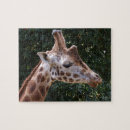 Suche nach giraffe puzzle Nacken