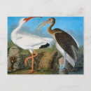 Suche nach john audubon postkarten Granger