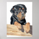 Suche nach wachhund poster Welpe