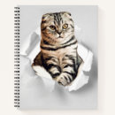 Recherche de de chaton carnets Bizarre