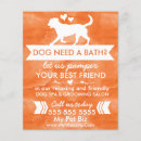 Recherche de toilettage prospectus Toiletteur pour chiens