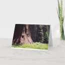 Recherche de sequoia vœux cartes Arbre