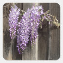 Recherche de glycine autocollants Fleur