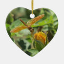 Suche nach libelle schmuck Orange