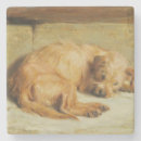 Recherche de cocker spaniel dessous de verres Dog