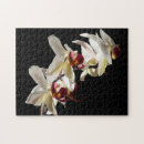 Suche nach weiße orchideen puzzle Botanisch