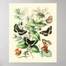 Suche nach schmetterling und blume poster Blätter