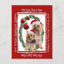 Suche nach seidener postkarten Welpe