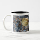 Recherche de palourdes tasses Coquilles