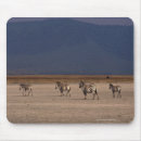 Suche nach breite mousepads Geschichte