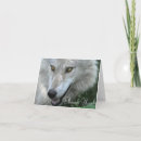 Recherche de wolfs vœux cartes Loup gris