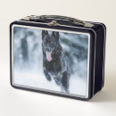 Suche nach wolf brotdosen Hunde