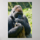 Suche nach tiefland poster Primat