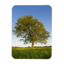 Suche nach heufeld Natur