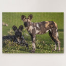 Recherche de tanzanie puzzles Animaux