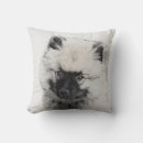 Recherche de spitz coussins Chiot