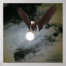 Recherche de aigle art Pleine lune