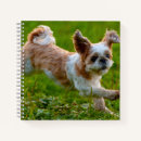 Suche nach lauf kleine notizbücher Fotografie