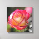 Suche nach tee leinwandbilder Blumen