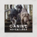 Recherche de chien marche cartes visite Garderie pour chien