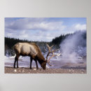 Suche nach feriengeschenk poster Winter