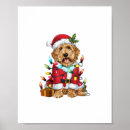 Suche nach labradoodles poster Welpe