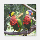 Recherche de réalisme magnets Coloré